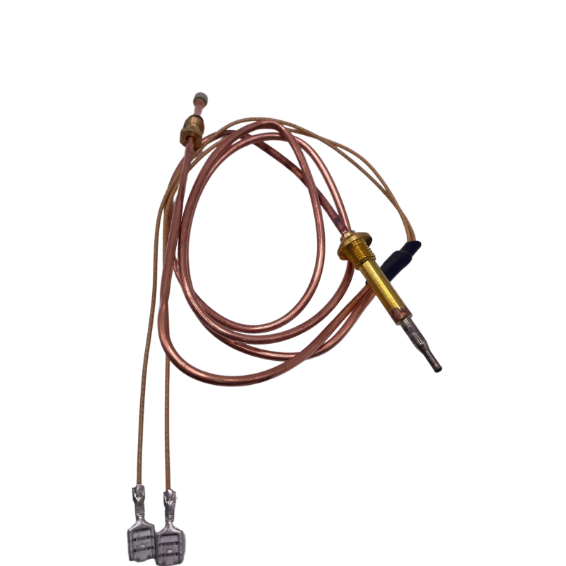Thermocouple With Leads